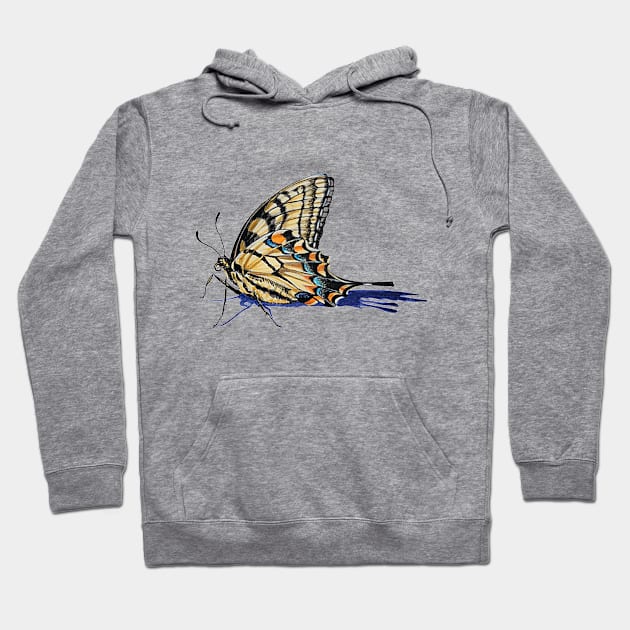 Eastern Tiger Swallowtail Butterfly (no background) Hoodie by EmilyBickell